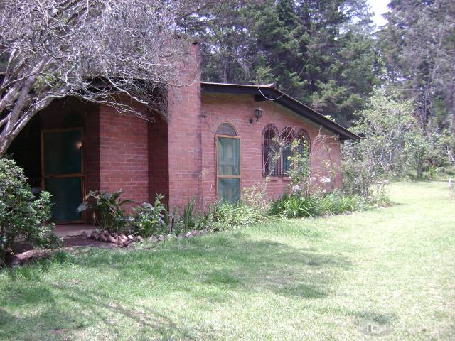 ALQUILO GRANJA EN SAN LUCAS - Image 1