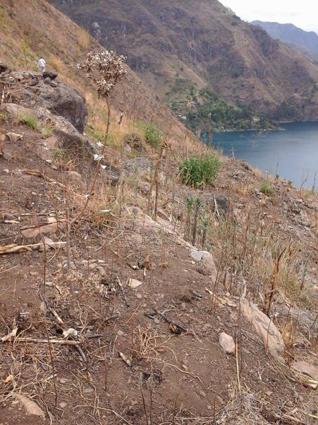 terreno venta por dueno - Image 3