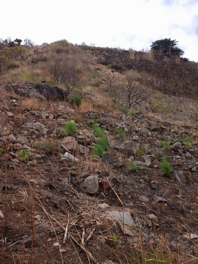 terreno venta por dueno - Image 4