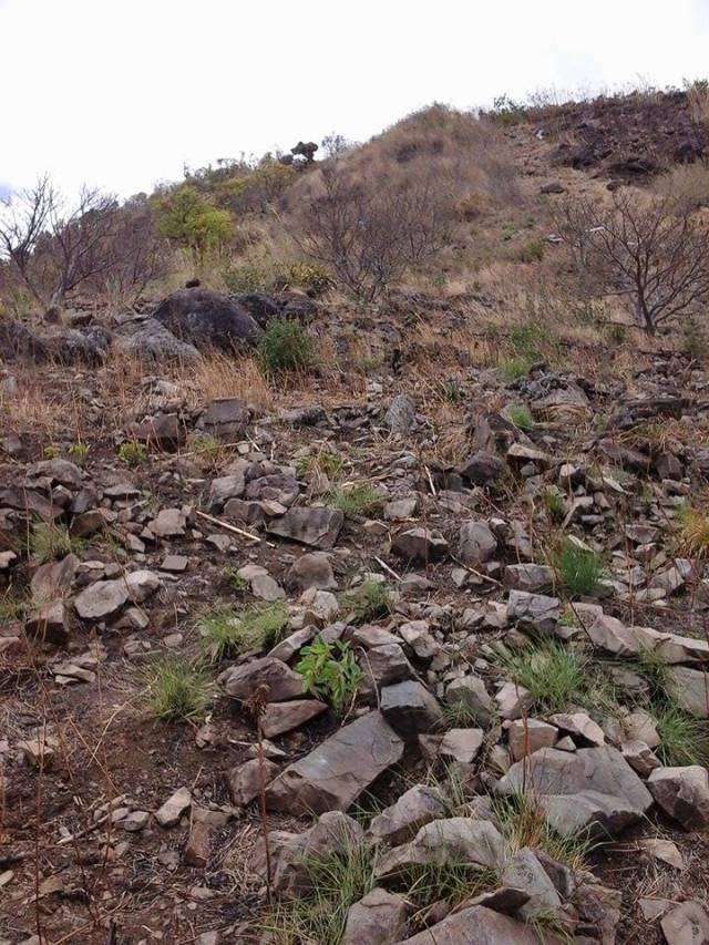 Terreno de venta por dueno - Image 3