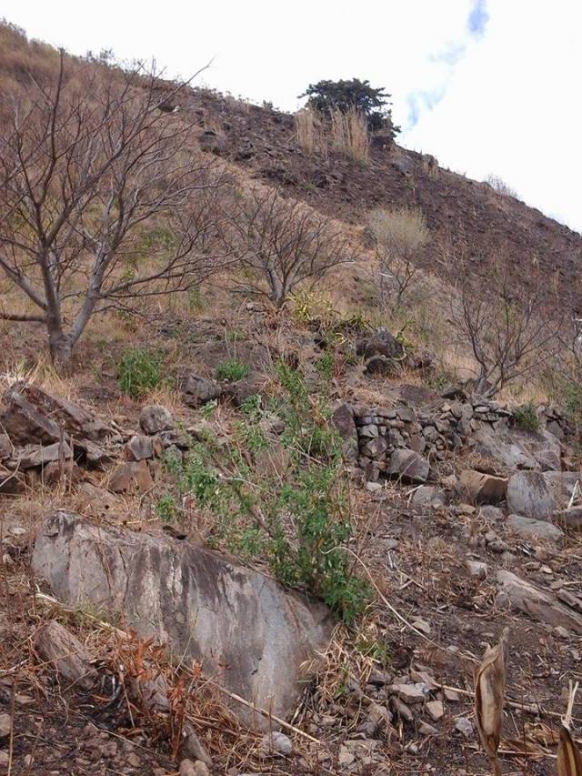 Terreno de venta por dueno - Image 4
