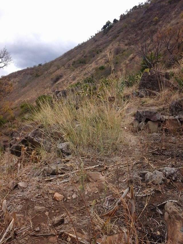 Terreno de venta por dueno - Miniatura 7