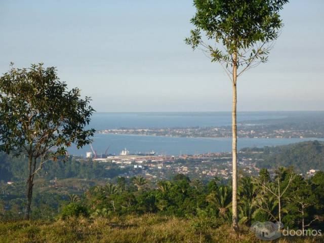 Lindo terreno con vista a los muelles - Image 1