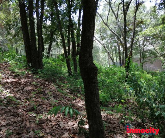 Terreno en Venta Mixco zona 1 - Image 3
