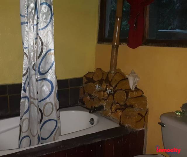 Casa en alquiler en Lago Petén Itzá - Image 4