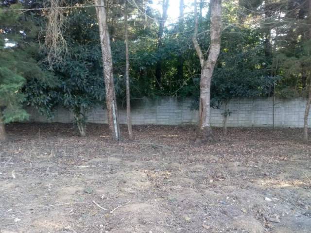 CityMax Antigua vende terreno en residencial de San Lucas Sac. - Image 2