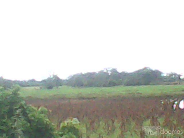 Vendo Terreno, Buen Lugar.! - Image 3
