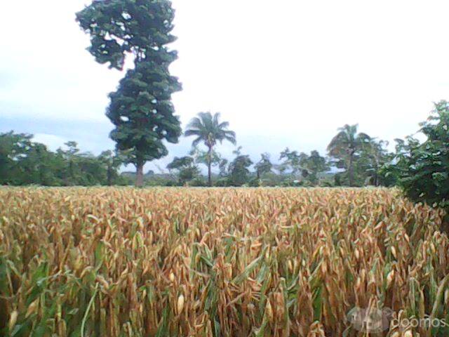 Vendo Terreno, Buen Lugar.! - Image 5