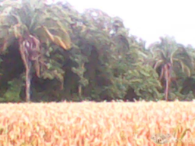 Vendo Terreno, Buen Lugar.! - Miniatura 6
