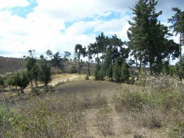 Comprar Terreno Sumpango KM40 - Image 2