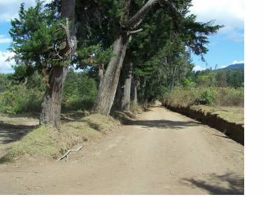 Comprar Terreno Sumpango KM40 - Image 3