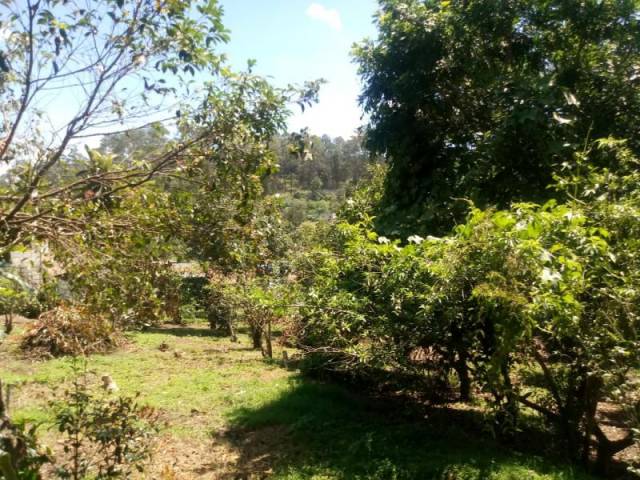 CityMax Antigua vende terreno con uso agrícola en Chimaltenango. - Miniatura 2