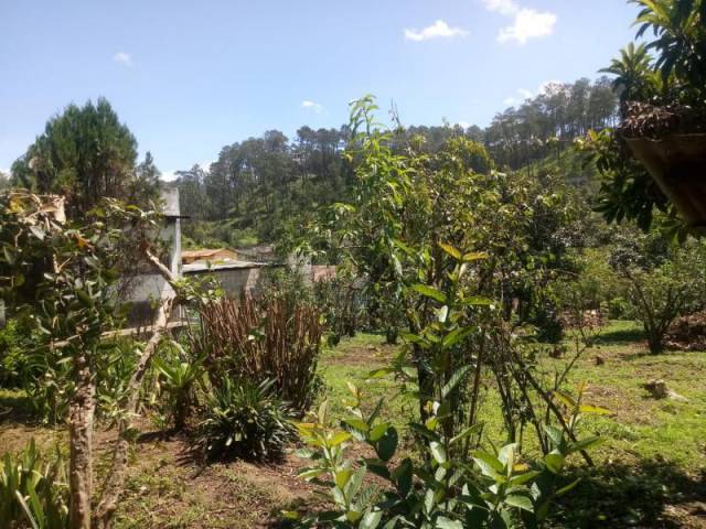 CityMax Antigua vende terreno con uso agrícola en Chimaltenango. - Miniatura 3