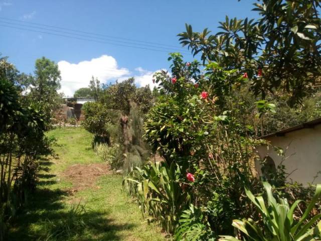 CityMax Antigua vende terreno con uso agrícola en Chimaltenango. - Miniatura 4