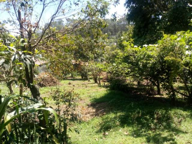 CityMax Antigua vende terreno con uso agrícola en Chimaltenango. - Miniatura 6