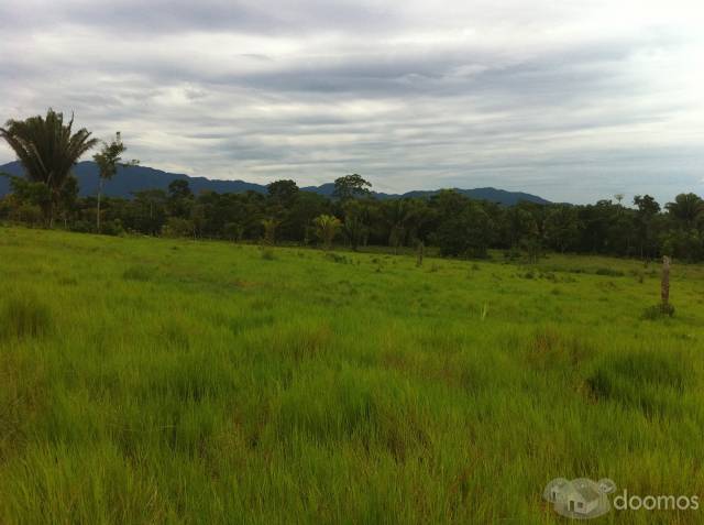 Vendo Terreno en Izabal!! - Image 2