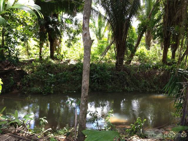 Vendo Terreno en Izabal!! - Image 4