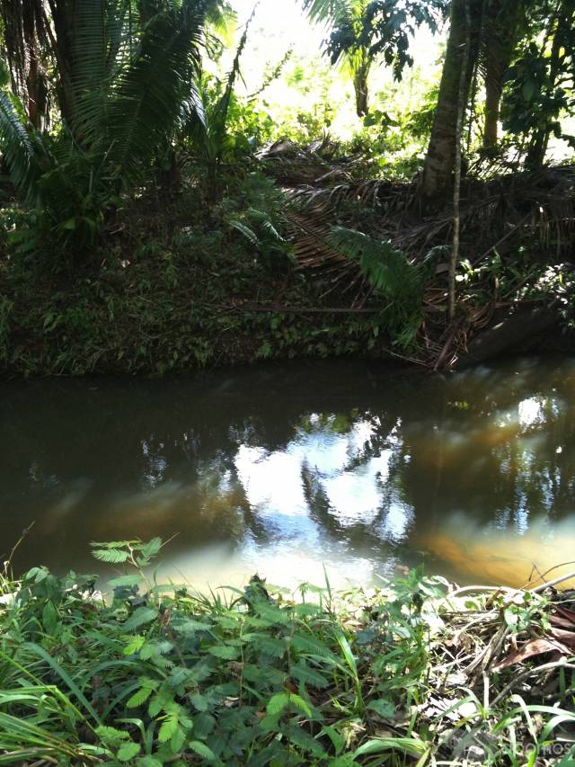 Vendo Terreno en Izabal!! - Image 5