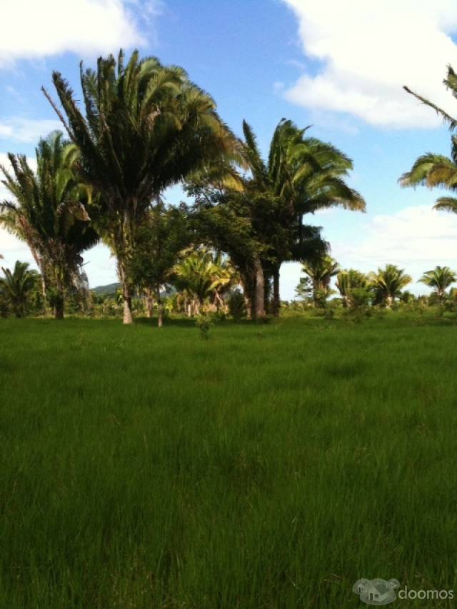 Vendo Terreno en Izabal!! - Miniatura 6