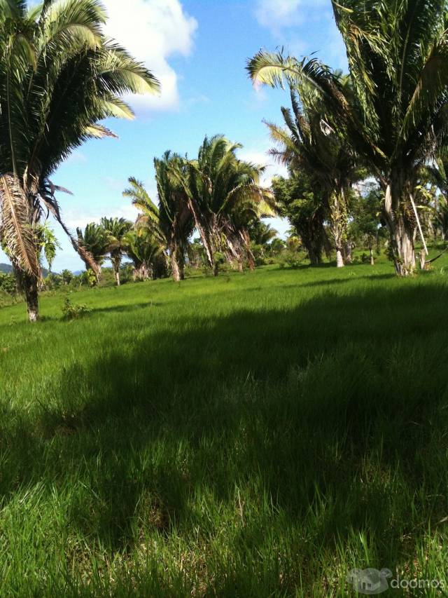 Vendo Terreno en Izabal!! - Miniatura 7