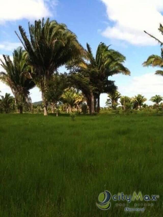 Venta de 67 manzanas de terreno en Izabal - Miniatura 2