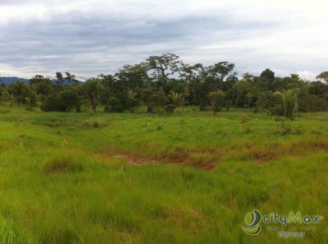 Venta de 67 manzanas de terreno en Izabal - Miniatura 4