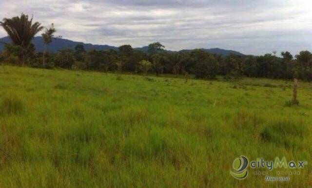 Venta de 67 manzanas de terreno en Izabal - Miniatura 5