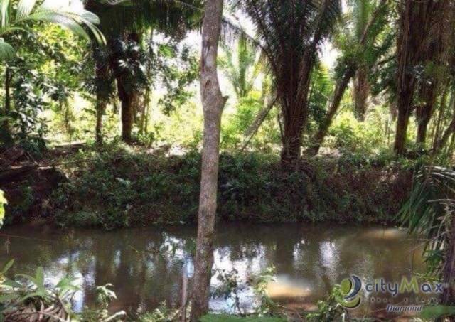 Venta de 67 manzanas de terreno en Izabal - Miniatura 8