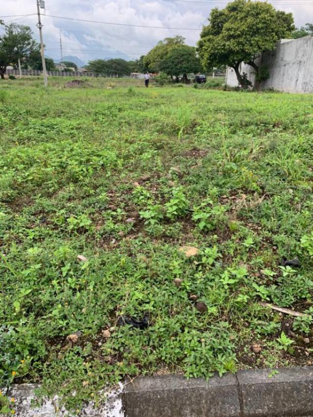 CityMax Antigua vende terreno residencial en Escuintla - Miniatura 2