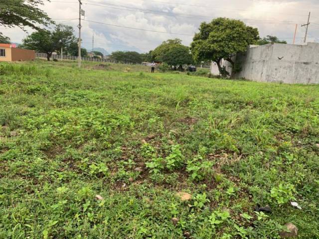 CityMax Antigua vende terreno residencial en Escuintla - Miniatura 3
