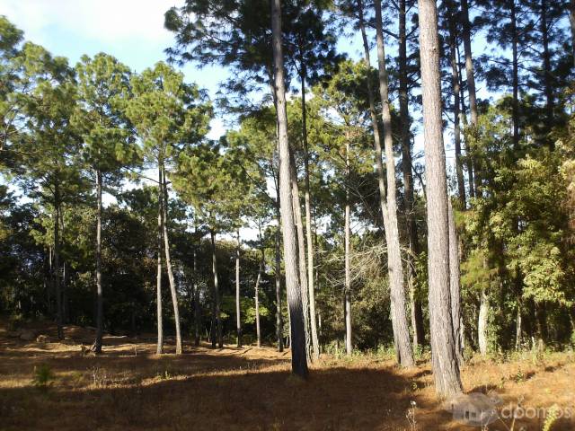 Terreno San Juan Sacatepequez - Image 2