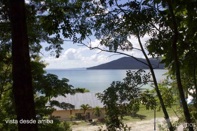 Terreno Con Vista al Lago - Image 2