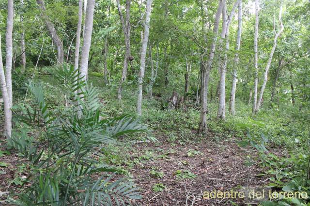 Terreno Con Vista al Lago - Image 4