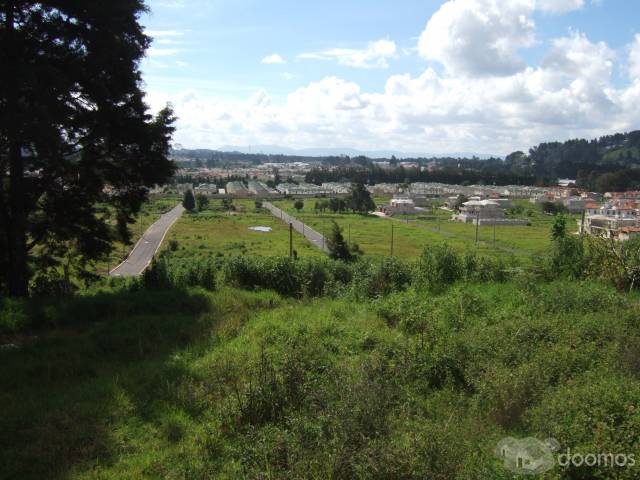 TERRENO DE 5,200 V2 - Image 1