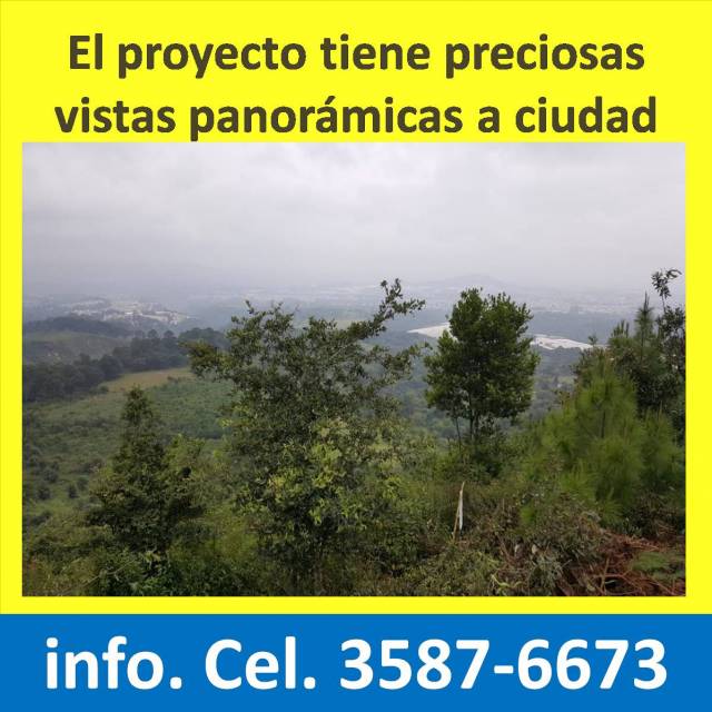 Lotes en Preventa - Miniatura 5