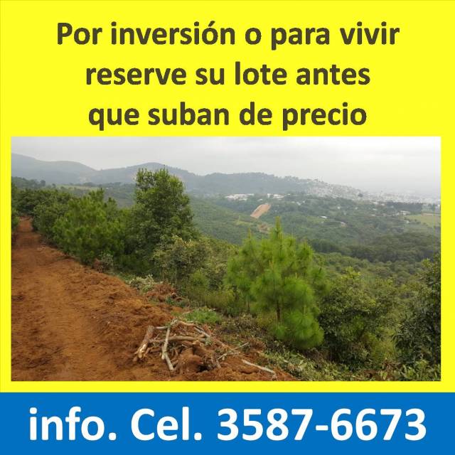 Lotes en Preventa - Miniatura 6