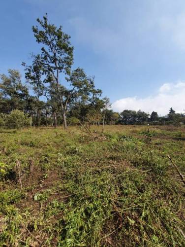 ¡¡TERRENOS EN PARRAMOS, CHIMALTENANGO!! - Image 1