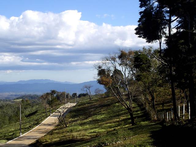 Terrenos grandes en Villa Canales!!! - Image 2