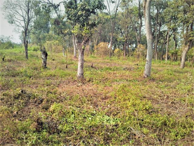 ¡¡TERRENOS UBICADOS EN PARRAMOS, CHIMALTENANGO!! - Image 2