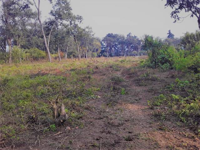 ¡¡TERRENOS EN PARRAMOS, CHIMALTENANGO, GUATEMALA!! - Image 2