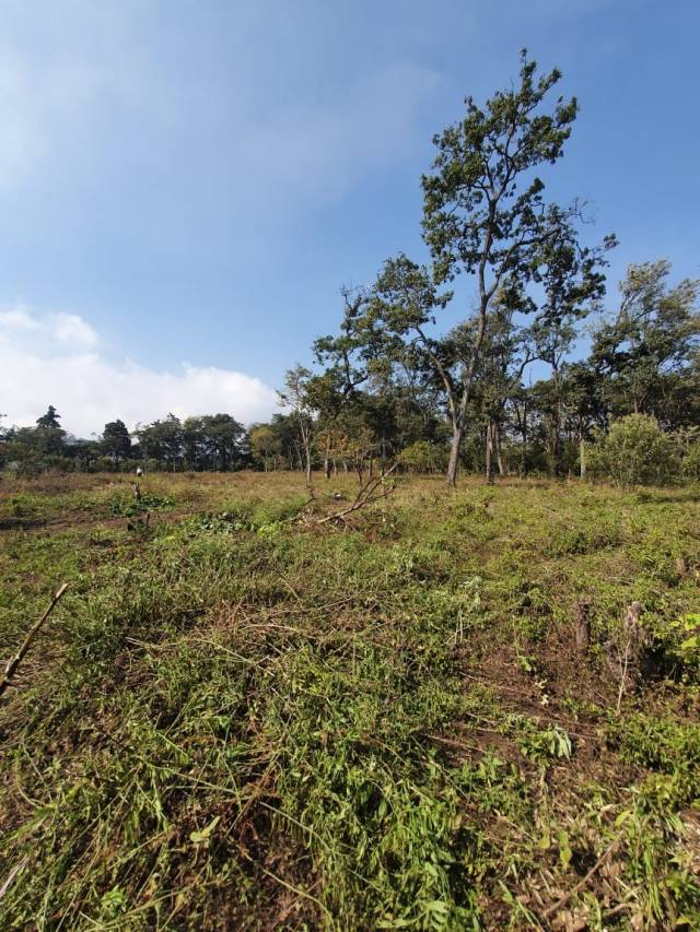 ¡¡TERRENOS EN PARRAMOS, CHIMALTENANGO, GUATEMALA!! - Image 3