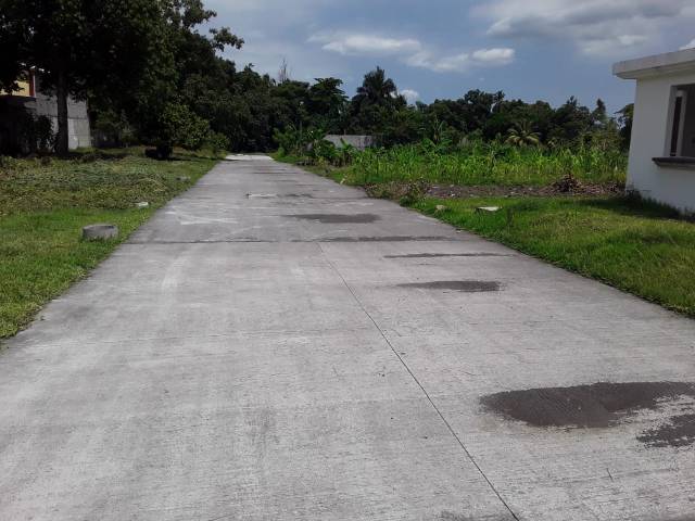 ¡¡TERRENOS GRANDES EN SIQUINALÁ, ESCUINTLA, GUATEMALA!! - Image 2