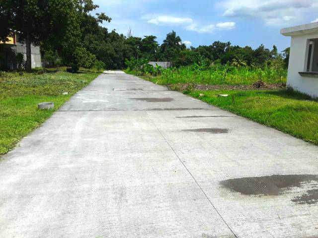 ¡¡TERRENOS GRANDES EN SIQUINALÁ, ESCUINTLA, GUATEMALA!! - Image 2