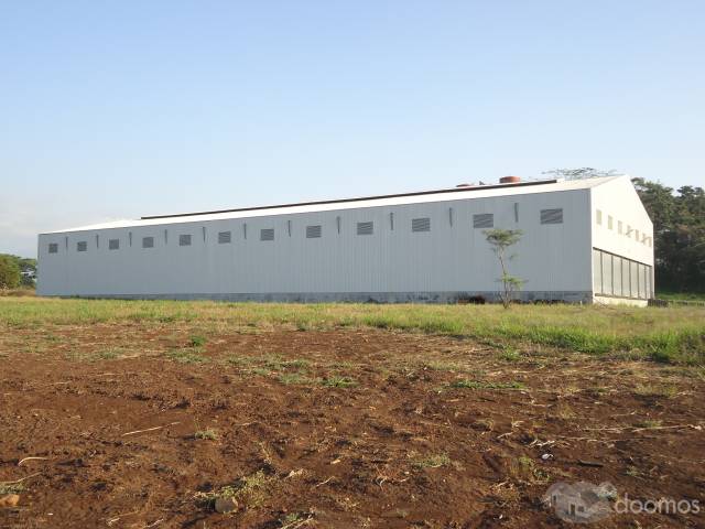 Bodegas en Escuintla - Image 2