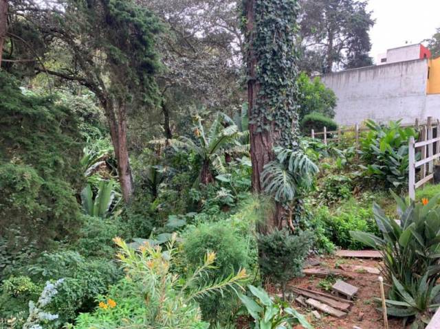 CityMax Antigua vende terreno residencial en San Lucas Sacatepéquez - Miniatura 6