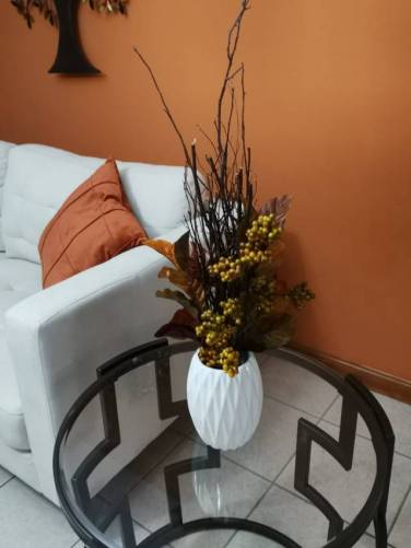 Alquiler apartamento amueblado en zona 14, ideal parejas y solteros - Image 1