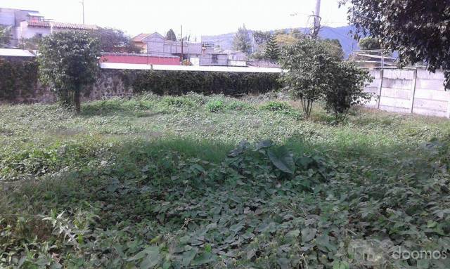 Terreno en Venta - Miniatura 2