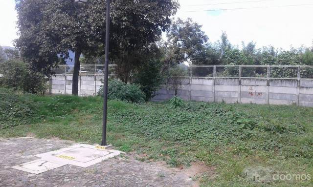 Terreno en Venta - Miniatura 6