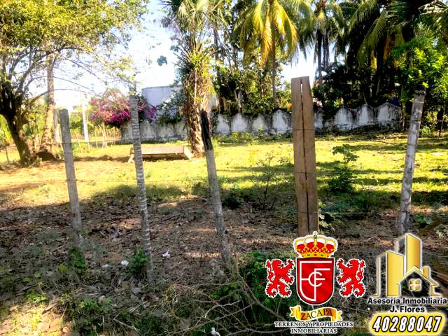 Vendo Terrenos A Q250xmt2 en Lindamar Puerto San José. Cel: 40288047 - Miniatura 6