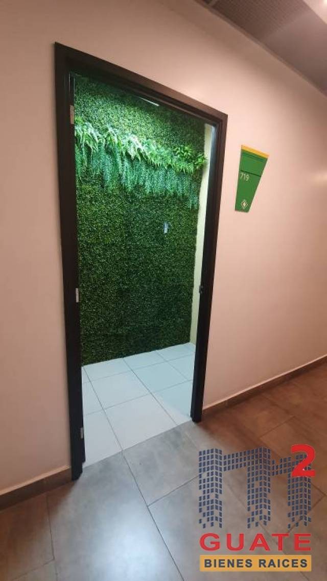 Oficina de 49 m2 de construcción, en Renta Zona 11 - Miniatura 7
